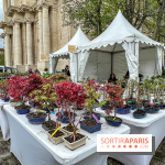 Esprit Jardin à Versailles - Marché aux plantes et animations  - IMG 6096