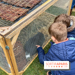 Esprit Jardin à Versailles - Marché aux plantes et animations  - IMG 6147