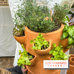 Esprit Jardin à Versailles - Marché aux plantes et animations  - IMG 6131