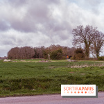 Barbizon, le village entre art et nature  -  A7C7457