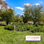 Parc André Malraux à Nanterre, nos photos - IMG 9729