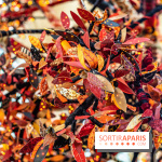 Arbre de vie de Joana Vasconcelos au Château de Vincennes  -  A7C2576