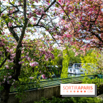 L'île de la Jatte, nos photos - IMG 9662