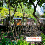 L'île de la Jatte, nos photos - IMG 9711