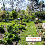 L'île de la Jatte, nos photos - IMG 9712