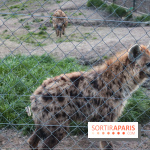 Zoo de Thoiry 2023 - C68095A7 B686 4025 A2E0 C52822B6A9A5