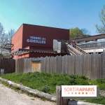 Zoo de Thoiry 2023 - Terre des gorilles