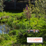 Zoo de Thoiry 2023 - Tigre