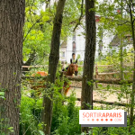 Balade - rando de Jouy-en-Josas jusqu'à l'Aqueduc de Buc - image00013