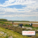 Balade - rando de Jouy-en-Josas jusqu'à l'Aqueduc de Buc - image00003