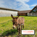 La Ferme de Viltain / La Cueillette de Viltain