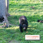 Les tanières du zoo de Thoiry 2023 - Ours