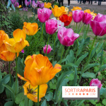 Wat Thammapatip Inrernational : la pagode bouddhiste et sa street food thaï, à Moissy-Cramayel - 50F5D52D D5E6 4A7B 9504 9907D05269BF