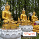 Wat Thammapatip Inrernational : la pagode bouddhiste et sa street food thaï, à Moissy-Cramayel - 448F6C17 3915 47CF 8F62 D53FAE2467D9