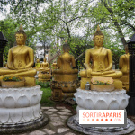 Wat Thammapatip Inrernational : la pagode bouddhiste et sa street food thaï, à Moissy-Cramayel - 819FF829 1506 4F78 8BE8 F53FB0D14AC3