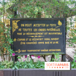 Wat Thammapatip Inrernational : la pagode bouddhiste et sa street food thaï, à Moissy-Cramayel - 8768B10E 4A74 493C B158 65F8E536F54D