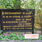 Wat Thammapatip Inrernational : la pagode bouddhiste et sa street food thaï, à Moissy-Cramayel - DC925664 D492 4B7B BB8D 64DF7F4274F6