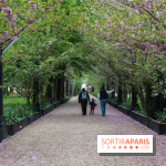 Wat Thammapatip Inrernational : la pagode bouddhiste et sa street food thaï, à Moissy-Cramayel - EA0A1E4A BA57 4367 A20B CA7CB783ACEE