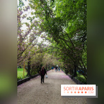 Wat Thammapatip Inrernational : la pagode bouddhiste et sa street food thaï, à Moissy-Cramayel - 46BBD488 AE64 4018 804F A19357A1C24A