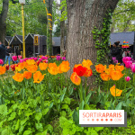 Wat Thammapatip Inrernational : la pagode bouddhiste et sa street food thaï, à Moissy-Cramayel - 7B05D330 C2F9 4E62 81CA D27DF09FD9AD