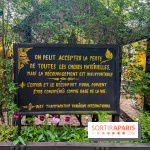 Wat Thammapatip Inrernational : la pagode bouddhiste et sa street food thaï, à Moissy-Cramayel - 4D64D092 5D76 459F A3C8 83BCC90A0D5E