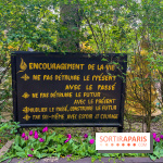 Wat Thammapatip Inrernational : la pagode bouddhiste et sa street food thaï, à Moissy-Cramayel - FD8822C6 BE73 4FBD A93F 1788D09FA0F7