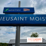 Wat Thammapatip Inrernational : la pagode bouddhiste et sa street food thaï, à Moissy-Cramayel - 26484506 F5FF 4C68 8171 DD142B525057