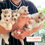 Puppy Yoga - image00002