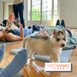 Puppy Yoga