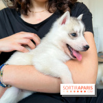 Puppy Yoga - image00010