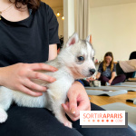 Puppy Yoga