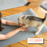 Puppy Yoga