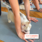 Puppy Yoga