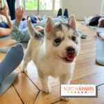 Puppy Yoga