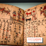 Médecines d'Asie, l'art de l'équilibre : l'exposition bien-être étonnante du musée Guimet - photos - IMG20230516110452