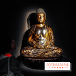 Médecines d'Asie, l'art de l'équilibre : l'exposition bien-être étonnante du musée Guimet - photos - IMG20230516110020