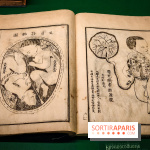 Médecines d'Asie, l'art de l'équilibre : l'exposition bien-être étonnante du musée Guimet - photos - IMG20230516111436