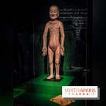 Médecines d'Asie, l'art de l'équilibre : l'exposition bien-être étonnante du musée Guimet - photos