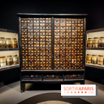 Médecines d'Asie, l'art de l'équilibre : l'exposition bien-être étonnante du musée Guimet - photos - IMG20230516105630