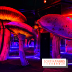 Le labyrinthe de Tim Burton - IMG 2567