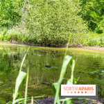 Sentier découverte de Maincourt - Vallée de Chevreuse -  A7C4061
