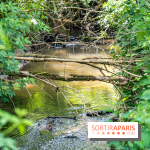 Sentier découverte de Maincourt - Vallée de Chevreuse -  A7C4065