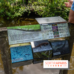 Sentier découverte de Maincourt - Vallée de Chevreuse -  A7C4067
