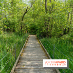 Sentier découverte de Maincourt - Vallée de Chevreuse -  A7C4080