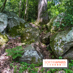 Sentier découverte de Maincourt - Vallée de Chevreuse -  A7C4096