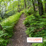 Sentier découverte de Maincourt - Vallée de Chevreuse -  A7C4097