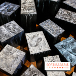 Carte blanche à Park Dong Soo au musée Guimet, nos photos - IMG 0099