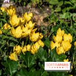 visuel jardins