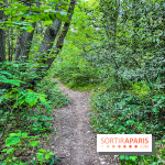 Visuel forêt  - IMG 7048