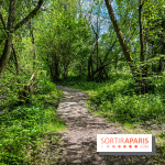 Visuel forêt  - IMG 7032